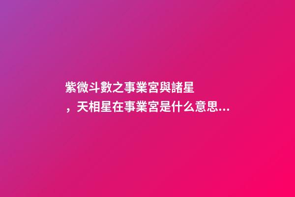 紫微斗數之事業宮與諸星，天相星在事業宮是什么意思？